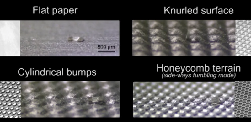 The microbots were tested on various surfaces. (Image: Purdue University.)